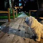 Сasa de vacaciones Le Relais Du Chateau *