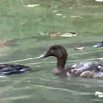 Le Relais Du Chateau * Fatouville-Grestain