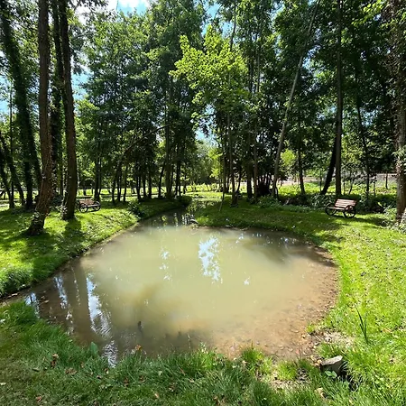 Le Relais Du Chateau 別荘 Fatouville-Grestain