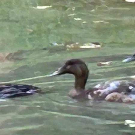 Le Relais Du Chateau * Fatouville-Grestain