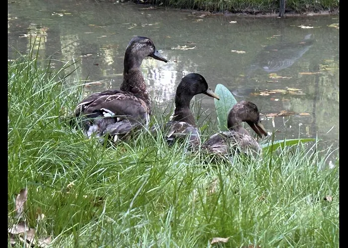 Le Relais Du Chateau *